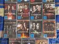🔥 Supernatural Staffel 1-2-3-4-5-6-7-8-9-10-11-12-13-14-15 – DVD-Verkauf! - Warendorf Zentrum