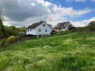 Baugrundstück mit toller Südhanglage in Trendelburg-Gottsbüren - Trendelburg