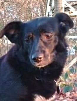 LIAS ist sehr lieb - Hof