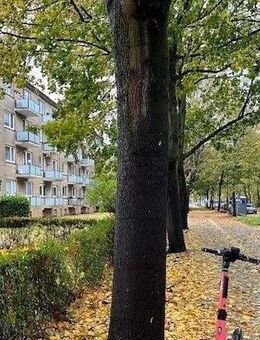 Modernisiert, zentral, klein aber mein - Hamburg