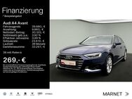 Audi A4, Avant Advanced 35 TFSI, Jahr 2024 - Oberursel (Taunus)