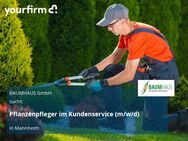 Pflanzenpfleger im Kundenservice (m/w/d) - Mannheim