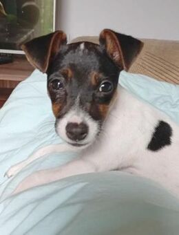 bezaubernde kleine NINA - Mamming