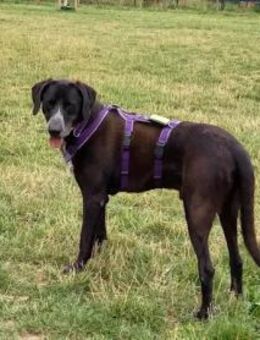 HOUSTON - er hat KEIN Problem! - Regensburg