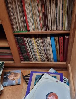 Vinyl singles und LPs aus Haushaltsauflösung - Insul