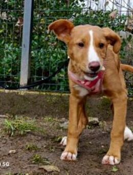 BAILA 🩷 ist bereit endlich anzukommen - Fahrenzhausen