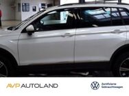 VW Tiguan, 2.0 TDI Life | | | | |, Jahr 2023 - Dingolfing