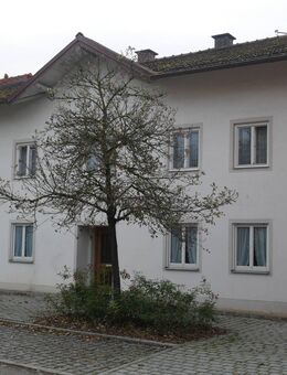 Viel Platz! - Kirchweidach