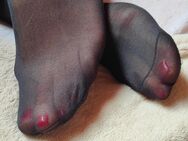 Miss Vika's Duftende Nylonstrümpfe und Söckchen ❤️👠👣🧦 10€ - Limburg (Lahn)