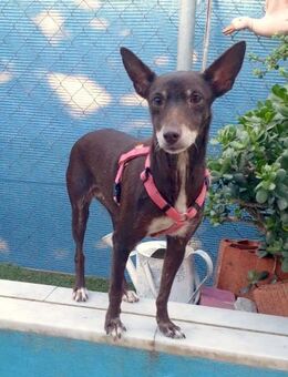 OLIVIA- KLEINE HELDIN - Algermissen