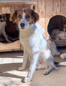 Friedrich möchte die Welt erkunden - Schwabach