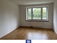 Wohlfühlwohnung mit zwei Zimmern in ruhiger und ländlicher Umgebung! - Großröhrsdorf