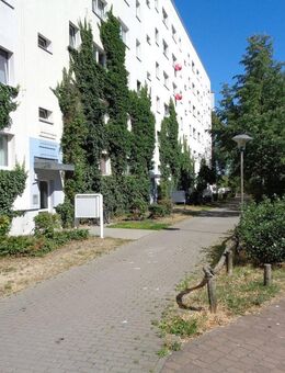 Schöne Singlewohnung im 1. Obergeschoss zu vermieten - Brandenburg (Havel)