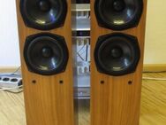 VERKAUFE AVALON ACOUSTIC NP 2.0, High End Standlautsprecher - Saarbrücken