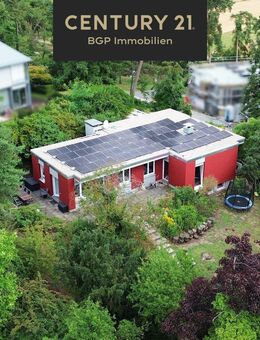 Freistehendes Einfamilienhaus mit großem Grundstück - Lorsch (Karolingerstadt)