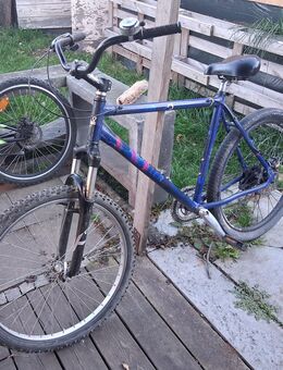 Fahrrad 26 Zoll - Bad Freienwalde (Oder)