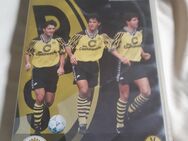 BVB Fanartikel - Dortmund Wambel