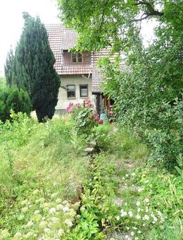 Solides Einfamilienhaus auf großem Grundstück mit Anbauten in Kernstadtlage Salzkotten - Salzkotten