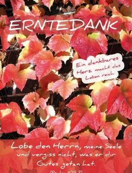 Christliches Poster A1 – Bunt gefärbte Weinblätter – Erntedank – Psalm 103,2 - Wilhelmshaven Zentrum