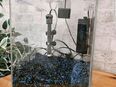 20 liter aquarium in 50374