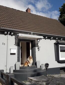 Modernisiertes Einfamilienhaus im Stadtkern von Heide - mit Stellpl. & Ladest. - Bes. am 03.August - Heide