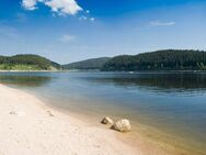 Wer kommt mit zum Badestrand an den Brombachsee - Roth Zentrum
