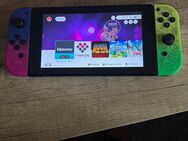 Nintendo Switch cfw installieren - Ludwigshafen (Rhein)