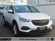 Opel Grandland X, Hybrid, Jahr 2021 - Hachenburg