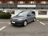 VW Caddy, 2.0 TDI Life, Jahr 2024 - Raubling