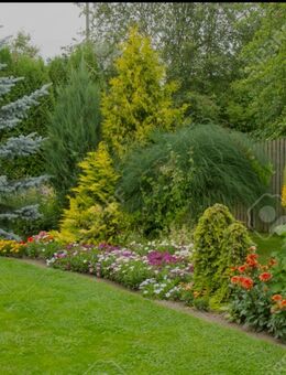 Gartenbau, Gartenhilfe - Damme
