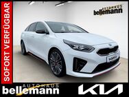 Kia pro cee'd, 1.6 T-GDi DCT7 GT ||Komfort, Jahr 2019 - Speyer