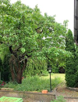 Das flexible Wohnkonzept im Haus mit Einliegerwohnung - Obermichelbach