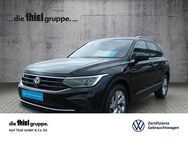 VW Tiguan, 1.5 TSI Move, Jahr 2023 - Bad Driburg