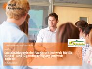 Sozialpädagogische Fachkraft (m/w/d) für die Kinder- und Jugendbeteiligung (m/w/d) Teilzeit - Sinsheim