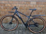 Conway rlc 7.9 hardtail Fahrrad - Münster (Hessen)