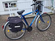 Herrenfahrrad Marke Prophete - Flörsheim (Main)
