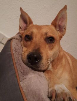 Lita aus Bochum - Velbert