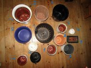 Pflanztöpfe + Anzuchttöpfe Größen Ø 10,2-28 cm weiß/schwarz/bunt - Berlin