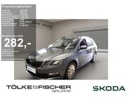 Skoda Octavia, 2.0 TDI Combi Ambition FLA ParkAss, Jahr 2019 - Krefeld