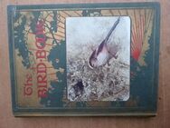 The Bird Book , W. Foster / May Byron / New Edition , Hodder & Stoughton 1910 , Buch - Berlin