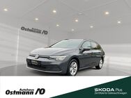 VW Golf Variant, Golf VIII Life 110kw TDI, Jahr 2021 - Niestetal