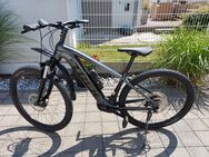 E-Bike TREK, Powerfly 4 - Egelsbach