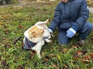 Sehr netter freundlicher PAN sucht ♥️ - München