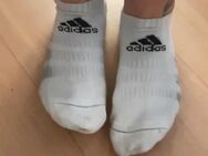 Socken getragen Größe 38, nur für dich 🦶🏻 - Berlin