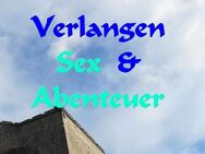 M 44 sucht Dich zeigefreudige Frau und sexuelle Spielgefährtin - Dissen (Teutoburger Wald)