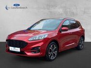 Ford Kuga Plug-In Hybrid ST-Line X - Duderstadt