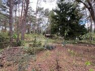 Ruhig gelegenes Baugrundstück inmitten der Natur - Mittenwalde (Landkreis Dahme-Spreewald)