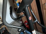 Crosstrainer Schwinn 510e - Neustadt (Orla)