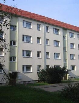 Kleine 4-Zi.-Whg., Balkon, Bad (Dusche) mit Fenster, Laminat - Weißenfels