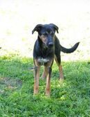 DARCY - laß uns mal was Neues versuchen in 51491